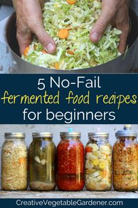 The best fermented food recipes to help you turn your fresh vegetables into delectable ferments for use in healthy meals all season long.