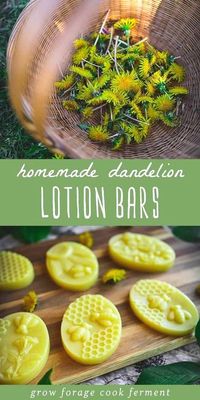 Dandelion Lotion Bars: DIY Herbal Self Care - Dandelion Lotion Bars are the perfect addition to any homemade beauty routine! Not only do they offer the benefits of natural ingredients like dandelion oil, they are also easy to make with medicinal flowers. Whether you’re an herbalism beginner or a seasoned enthusiast, this homemade lotion recipe will keep your skin feeling soft, nourished, and hydrated.