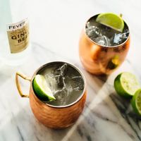 Classic Moscow Mule Recipe | Yummly