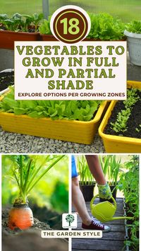 Explore the 18 Shade-Tolerant Vegetables to Grow in Full and Partial Shade Garden. Learn how to create a shade garden tailored to shade-loving vegetables for a bountiful harvest. Visit TheGardenStyle.com to learn more. #growvegetables