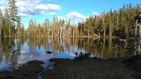 To access the trailhead for Caldwell Lakes, follow Forest Route 42N17.