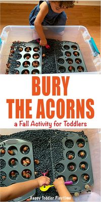 Bury The Acorns: An Easy Toddler Activity - HAPPY TODDLER PLAYTIME Create this super fun and easy toddler Fall activity using acorns. It is an amazing sensory play activity for little hands! #toddleractivity #fallactivity #toddlerfun