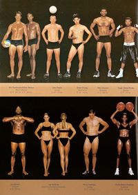 The Dragonfly Warrior — The Body Shapes of the World’s Best Athletes...