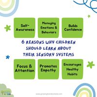 6 Reasons Why Children Should Learn About Their Sensory Systems