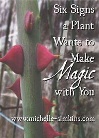 Six Signs a Plant Wants to Make Magic with You