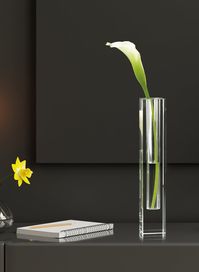 Let your floral arrangement be the statement with this classic crystal bud vase. This modern, square glass crystal vase is crafted with thick glass walls and a sturdy, weighted base. For a sophisticated arrangement, use our modern crystal bud vases to display grouped single blooms. Not only will this skinny vase vase look beautiful in a home or office, it can be used as a part of a centerpiece or décor item for weddings, parties, baby and bridal showers and other events. What better gift is ther