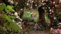 The Secret Garden - NYT Watching