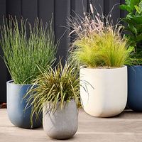 Radius Planters