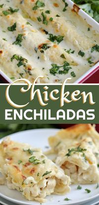 This is the BEST CHICKEN ENCHILADAS recipe and one the whole family will love! Tips on how to shred chicken, a quick 10 minute creamy enchilada sauce starring sour cream and broth, and easy assembly thanks to using tortillas. This baked recipe will become a family favourite! #mexicanrecipe #enchiladas #chickenenchiladas #easyrecipe #recipes #enchiladarecipe #chickenrecipe #easydinner