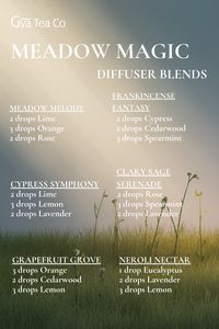 Bring the beauty of a blooming field indoors with Meadow Magic diffuser blend . Shop now: https://www.amazon.com/gyalabs?maas=maas_adg_91CBE6423B86F4BAD7CB981A948948D6_afap_abs&ref_=aa_maas&tag=maas . #GyaLabs #UpliftYourEveryday #essentialoils #beauty #instabeauty #naturalbeauty #beautyblog #beautycare #howtobeauty #sleepingbeauty #beautytips #beautybloggers #beautyful #usa #madeinusa #upperleftusa #canonusa #love #travel #newyork #america #photography #instagood #instagram #fashion