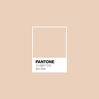 2,625 Pantone Colors. Endless possibilities. Explore FHI Cotton TCX in 1 click for FREE! · PANTONE 12-0807 TCX Sun Kiss Color · #Pantone #PantoneCotton #ColorBook #TCX · @pantonecolor · Kid’s Pattern