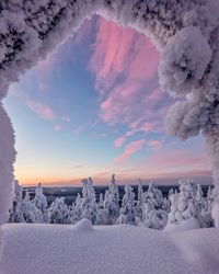 #snow #nature #sky #gorgeous #beautiful #pink #ice #winter