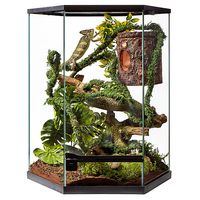 Thrive Tropical Reptile Vertical Hexagon Terrarium -20 Gallon | reptile Gecko & Lizard | PetSmart