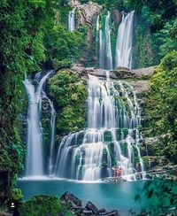 Ein Beispiel für die Schönheit der Natur, hier Costa Rica #ambré www.ambre-tee.de