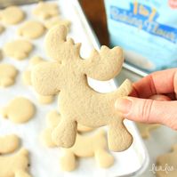 Soft and Chewy Gluten Free roll out sugar cookie recipe that doesn't spread and doesn't need to chill!!