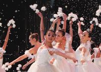 Nutcracker ballet 2011-2012