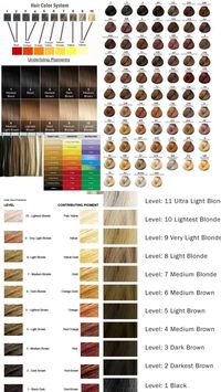 Cosmetology school harp color levels