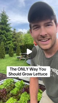 MIgardener / Luke Marion on Instagram: "Once you grow lettuce, this way, you won’t ever grow any other way again!  #garden #gardening #instagarden #gardentip #gardeningtips #lettuce"