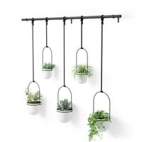 Triflora is a hanging planter for indoor plants that combines the utility of a drapery rod with the beauty of potted plants. Great for herbs, succulents, vine plants and more, Triflora Hanging Planter mounts to your wall or ceiling and adds functionality to your window by turning it into a space for growing plants. Because its pots are made from durable recycled molded polypropylene, Triflora remains lightweight even once plants are potted, allowing Triflora to be the lightest weight possible. Y