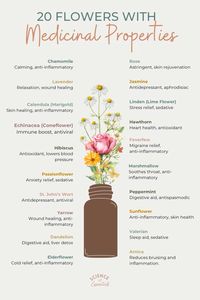 20 flowers with medicinal properties, aromatherapy garden, science of essentials, natural medicine