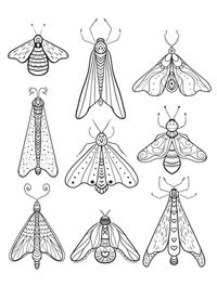 insect free downloadable adult coloring pages pic