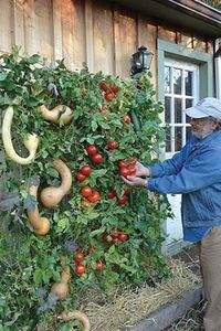 vertical gardening!