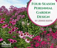 Four-Season Perennial Garden Design – Fafard