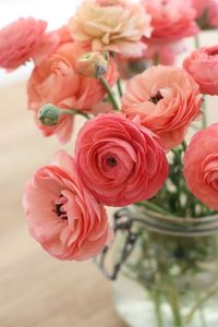 Lovely coral & pink ranunculus in a mason jar are simple and perfect for your own home table or as a gift to mom.