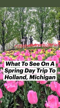  

What to see on a spring day trip to Holland, Michigan. 


 • https://www.theparentsflewthenest.com/day-trip-to-holland-michigan-tulips-beaches-and-big-red/


 • copy and paste the above URL into your search bar for more details on these locations in Holland, Michigan.

