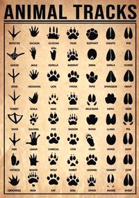 🐾Animal Tracks Identification Chart🐾