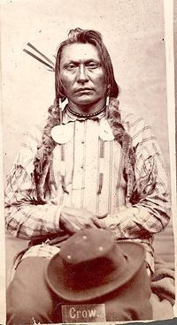 Chief Con-Reeh (Crow King). Hunkpapa Lakota. 1880. Photo by D.F. Barry. Source - National Anthropological Archives, Smithsonian. He is also identified elsewhere as Cree Chief Big Bear. Can anyone chime in on the correct identification?