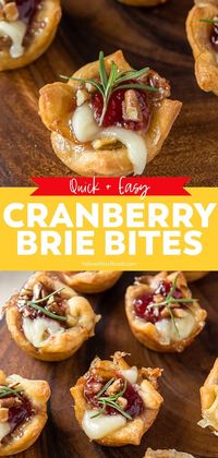 Cranberry Brie Bites are a sweet and tangy bite-sized appetizer. Creamy baked brie in a flaky crescent roll cup topped with sweet cranberry orange sauce.