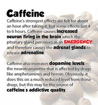 Caffeine Effects