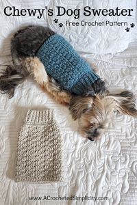 Chewy's Crochet Dog Sweater - Free Crochet Pattern for Pets - A Crocheted Simplicity