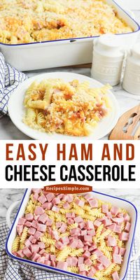 This Ham and Cheese Casserole is made with diced ham, cheesy sauce and rotini pasta then topped with buttery bread crumbs for a easy family meal that will quickly become a family favorite!