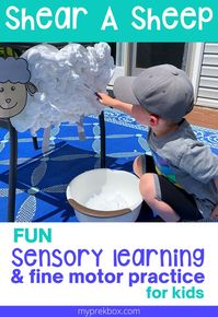 Combine sensory play and dramatic play with this super fun shear the sheep activity for kids! Your child will love getting messy and pretending to shear that sheep! All you need is a sheep cut out and shaving cream and something safe to shear with! Go to www.myprekbox.com for monthly preschool play based learning activities and crafts to do at home! Have fun learning with preschool math, preschool literacy, preschool STEM, and more! preschool farm activities | preschool sensory activities