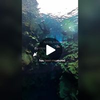 TikTok · mylayoverlife