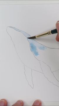 Aprenda a pintar baleias na aquarela