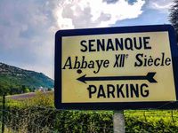 Abbazia di Sénanque: fioritura della lavanda in Provenza