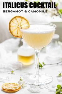 This Italicus cocktail contains the exotic flavours of bergamot and camomile. It may look like a classic gin sour cocktail, but the flavours are sure to surprise, delight and seriously impress. Recipe via LittleSugarSnaps