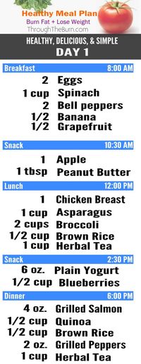 Healthy, Delicious Meal Plan - Burn Fat & Lose Weight! Don't worry about what you're going to eat and when, we'll take care of that for you!