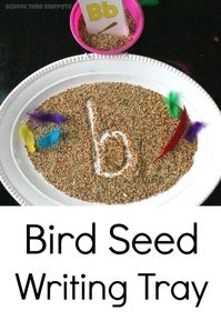 Bird Seed Sensory Writing Tray for Preschoolers! from School Time Snippets. Pinned by SOS Inc. Resources. Follow all our boards at pinterest.com/sostherapy/ for therapy resources.