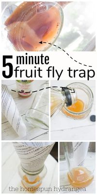 DIY Fruit Fly Trap for Getting Rid of Fruit Flies - The Homespun Hydrangea. Are you ready to say goodbye to fruit flies? This diy fruit fly Trap helps without the use of chemicals. It is a great natural way to repel pests and a wonderful home hack. 