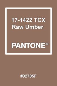 Pantone Raw Umber