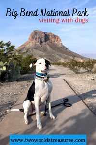 Visiting Big Bend National Park With Dogs - TWO WORLDS TREASURES