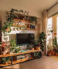 Follow us for inspiration and to spread the love of beautiful Indoor Plant Decor 🌿🌱⁠ Credits: 📸:@salateando For beautiful plant merch check us out!