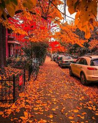 live love canada on Instagram: “No caption needed 🧡🍂 ⬇  PHOTO OF THE DAY🌟Feb🌟19🌟2020 📷  _____________________________________________ 🔘 Location: #montreal #québec ⭐…”