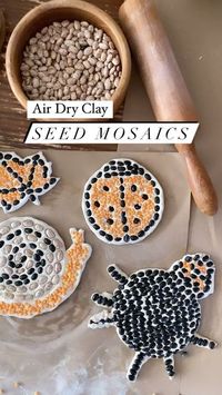 Natalie on Instagram: "Air dry clay seed mosaics ✨ We needed a little something to spruce up the garden as it makes its transition into fall and these were just the thing ✨ For this you’ll need air dry clay, some old seeds and beans or remnants of whatever you have sitting around in your pantry (we used very old or expired dry goods). Roll out the clay with a rolling pin and cut out a circle with a biscuit cutter or cookie cutter. You’ll want it rather thick so it doesn’t break easily. Push beans and seeds down into the clay, let it dry for 3-4 days and THIS IS THE MOST IMPORTANT PART - give it a good spray on all sides with an acrylic sealer. I like the modge podge spray (it stinks so make sure you use it outside!). Now you’ve got some happy little garden decorations to make you smile th