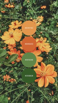 Orange and green somehow work together like summer and sunshine. Try it in the kitchen, bathroom, guest room, or kids play room. #colourpalette #colorpalette #colour #color #palette #orange #green #bright #tangerine