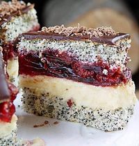 This Ukrainian poppy cake is called pliatsok. It’s love at first bite. The layers of jelly and hard sauce give the poppy seed dessert a distinguished taste. Plus, this home cake is topped with milk chocolate for the ultimate treat. Once you try to cook this poppy pie, it will become one of your favorite ones. Don't miss such a…